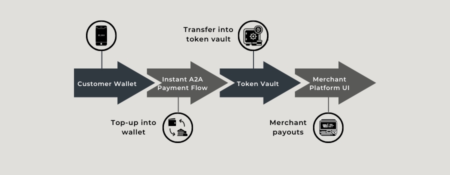 Illustration of embedded finance components: wallets, A2A flows, token vaults and merchant-led value movement